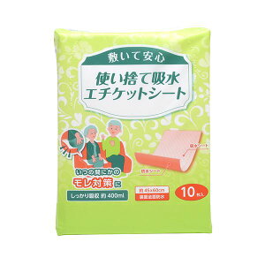 �i�܂Ƃ߁j�X�g���b�N�X�f�U�C���g���̂ċz���G�`�P�b�g�V�[�g SK-001 1�p�b�N�i10���j�y×10�Z�b�g�z