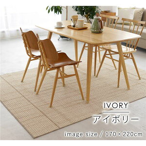 ラグマット/絨毯 【ウッド 約170×220cm アイボリー】 洗える 軽量 ダイニングラグ スミノエ 〔リビング プレゼント〕【代引不可】