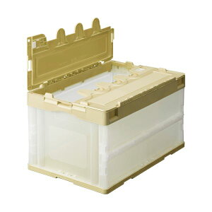 (܂Ƃ) TANOSEE ܂肽݃Rei t^t 50L AC{[^ 1 y×5Zbgz