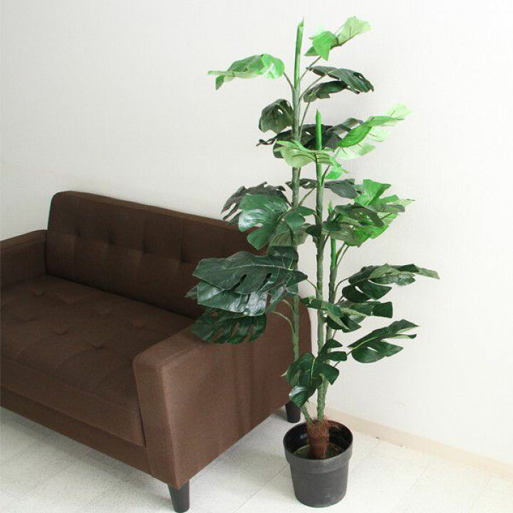 楽天市場 人工観葉植物 大型 観葉植物 フェイク 室内 おしゃれ 風水 造花 フェイクグリーン リアル インテリアグリーン 植物 Quoli