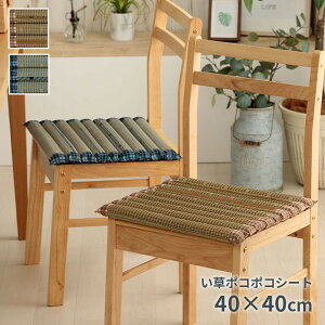 zc ֎qp NbV `FApbh lp Ɍ  ֎q V[gNbV   XNGA p  40cm k ėp    ֎qpNbV `FA 킢 y 