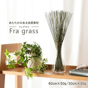  L L F  A} u    F gC Q rO a Y    CeA  ^oR { L L L a gCp 