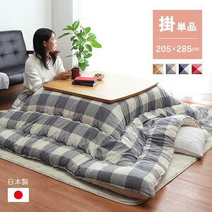 zc `  { |zc k  zc ȃXy[X O[ `FbN 205×285 R^czc 킢 g x[W  唻 y ȃXy[X e[u 