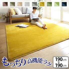 楽天市場 低 反発 ラグ 6 畳の通販