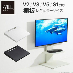 WALLCeAerX^hV2EV3EV5ES1Ή I M[TCY erX^h PS5 vXe5 PS4 X`[ WALLIvV EQUALS CR[Y WALL V2EV3ES1ΉI PS5 vXe5 PS4 ǉ