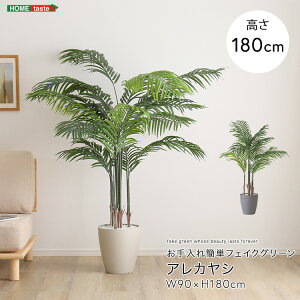 観葉植物 アレカヤシ 人工観葉植物」の人気商品一覧・価格比較 - 価格.com