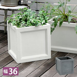 植木鉢 大型 室内の人気商品 通販 価格比較 価格 Com
