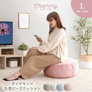 クッション ビーズ 丸型 大きい 円 厚手 ビッグ 日本製 ソファ 姫系 カバー 洗える 自立 かわいい ラウンド 座る用 スツール 丸 おしゃれ ビーズクッション 足置き リビング ソファー 寄りか