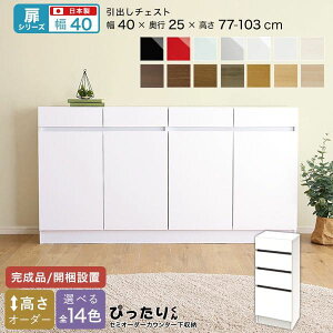 JE^[[ HI i `FXg X Y ݒu { o ؐ  ؖ s25 [^Cv I[_[ 40 ^ Lrlbg  rO ډB ǖʎ[ k  