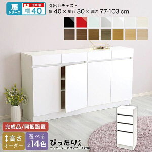 JE^[[ HI i `FXg X Y ݒu { o ؐ  ؖ s30 [^Cv I[_[ 40 ^ Lrlbg  rO ډB ǖʎ[ k  