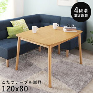 _CjO   e[u nC^Cv ` 120 80 _CjOe[u 4lp _CjOe[u  120×80 e[u _CjO  傫 r