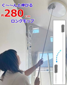 y280cm܂ŐLтzObv bvuV Lk V zV  | GAR  V[Ot@  Ɩ 􂦂 _X^[ ̑ zR | y