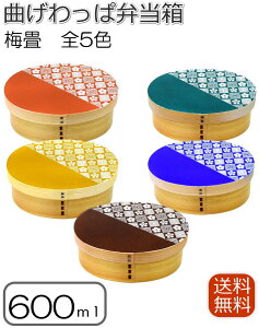 ϕٓ Ȃ 1i  ~ J Rh d؂t Soht 600ml a  {H Ώݖ͗l ~̉ cLdグ VR  yΉ