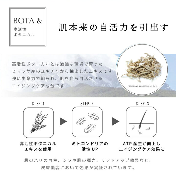 楽天市場 保湿クリーム 顔 フェイスクリーム エイジングケア 敏感肌 乾燥対策 マスク荒れ 基礎化粧品 スキンケア ボタアンド 公式 ザ クリームsencha セラミド ラメラ構造 潤い 超活性ボタニカル 高濃度リポソーム マルチビタミンb C E コラーゲン Wヒアルロン酸