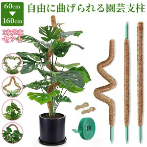 ϗtA x |x Ȃ RRXeBbN Xex Xe |p A RRibcx 鐫A AT|[g wSx RRibc X|[ |xp[c 2{