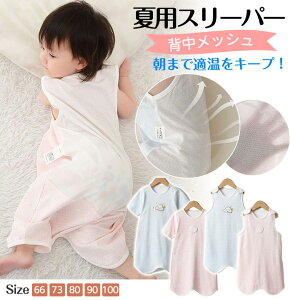 [ xr[ X[p[  bV ėp K[[ wbV  Ȃ xr[X[p[ LbY 2way pc^ hX^  ԂX[p[  EȒP t c m[X[u 