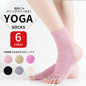 K\bNX ~ 5{w ܐȂ K C KC N[ 5{wK\bNX fB[X seBX  \bNX X|[c 5{w\bNX seBX\bNX 