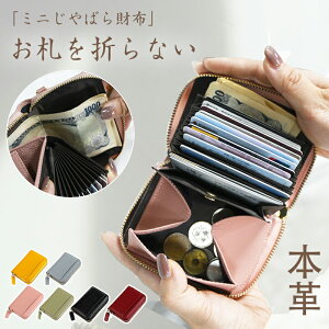 ~jz ~jEHbg Y fB[X {v D܂Ȃ ^  X g₷ RpNg J[h z ܂ z t@Xi[ ΂ K 