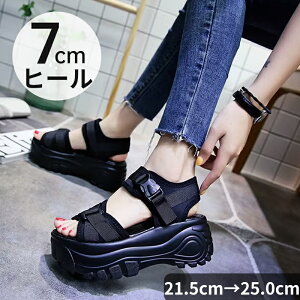 T_ T_ fB[X T_ 7cmq[ y ₷ RtH[g V[Y X|[cT_ 傫TCY Ռz ʋC C xN Xj[J[ t  AEghA s