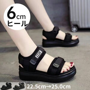 T_ T_ fB[X  RtH[g X|[cT_ 6cmq[ ʋC y }WbNe[v EFbW\[ ₷ Ռz ₷ 傫TCY tbg A