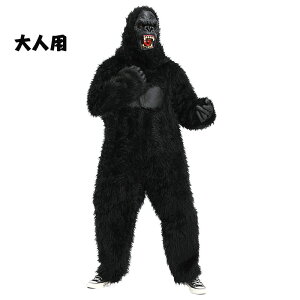 Gorilla S  RXv lp  Aj} A nEB RXv S eqyA  ϑ Aj}}XN{X[cZbg S eqLbY RX`[bXe[W 