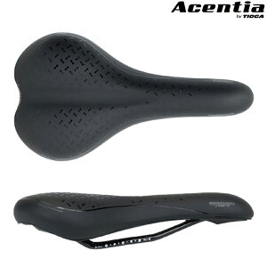 AZVA FORTIS itHeBXj ubN RtH[g X|[c Th Acentia