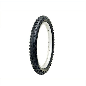 MU/W[s[ CST iCSTj Caesar Comp iJGT Rvj 20h×2.125hi406j TIR21901 GIZA/GP