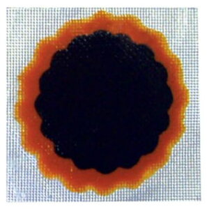 }`bvgbv pb`Zbgi5j SAM REMA TIP TOP