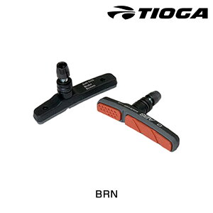 ^CIK ABS-02V BRN TIOGA