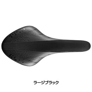 tBW[N ARIONE R1 J[{[Xl[N fizi:k