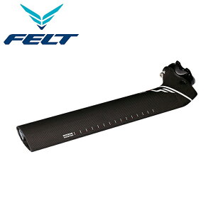 tFg DAV[g|XgItZbg DI2}Eg 2011ȍ~ FELT