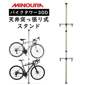 ミノウラ BIKE TOWER30D (バイクタワー30D)シャンパンゴールド MINOURA