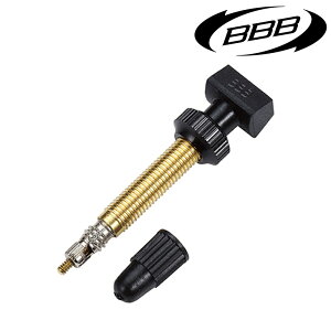 r[r[r[ TUBELESS VALVES i`[uXouj48mm REMOVABLE CORE 2 BTI-159 BBB