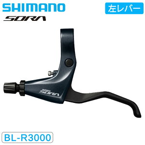 V}m BL-R3000-L u[Lo[ o[̂ SORA \ SHIMANO