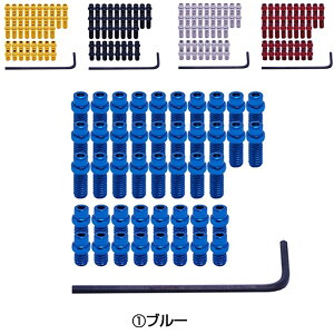 fB[GA[ FLIP PIN SET FOR VAULT PEDAL i44{jtbgy_ps DMR