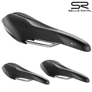 ZC SCIENTIA iVGeBAjAAX`bN45° 54A0SB0A09210 SELLE ROYAL