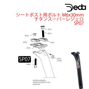 DEDAif_j V[g|Xgp{g M6x30mm `^ X[p[WF SP07