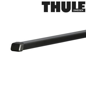 X[[ TH765 XNGA[o[Zbg 2PC THULE