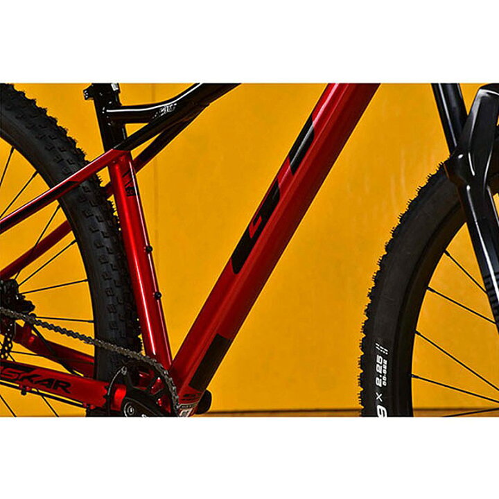 zaskar alloy comp 29