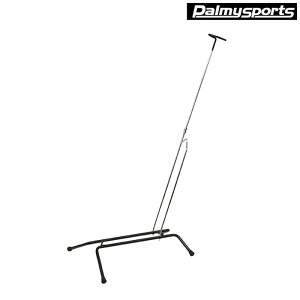 p~[ PS-DS1 fBXvCX^h PALMY