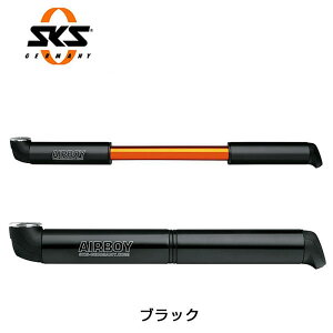 GXP[GX AIRBOY iGA{[Cj SKS