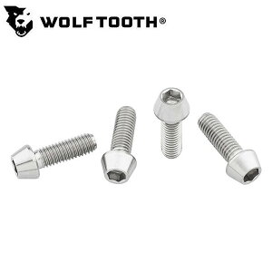 EtgD[X Ti water bottle cage bolts 4 packiTiEH[^[{gP[W{g4j Wolftooth