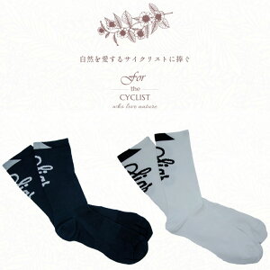 ݌ɑoo[QZ[IIV[K[ SNOK \bNX sigr ꕔFTCYŋz [ yjo