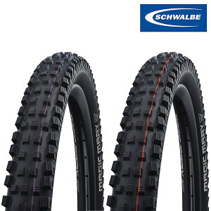 Vx MAGIC MARY i}WbN}[jSuper Gravity `[uX^C 27.5C` 29C` SCHWALBE
