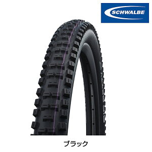 Vx BIG BETTY irbOxejSuper Downhill `[uX^C 27.5C` 29C` SCHWALBE
