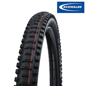 Vx BIG BETTY irbOxejSuper Gravity `[uX^C 29C` SCHWALBE