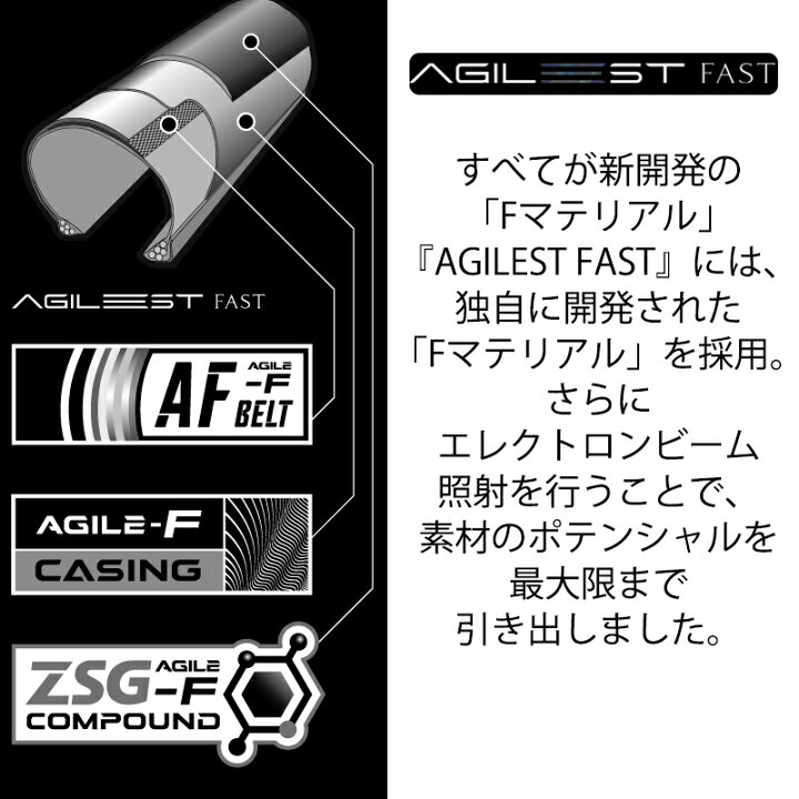 楽天市場】パナレーサー 【2本セット】AGILEST FAST （アジリスト 