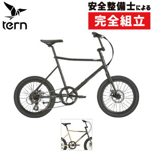 ^[ 2025Nf AMP F1 iAvF1jJ[ TERN ݌ɂ