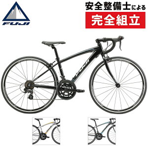 �t�W 2026�N���f�� ACE650 �i�G�[�X650�j FUJI