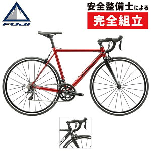 �t�W 2026�N���f�� NAOMI �i�i�I�~�j FUJI